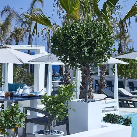 酒店 Aurora Santorini 4*